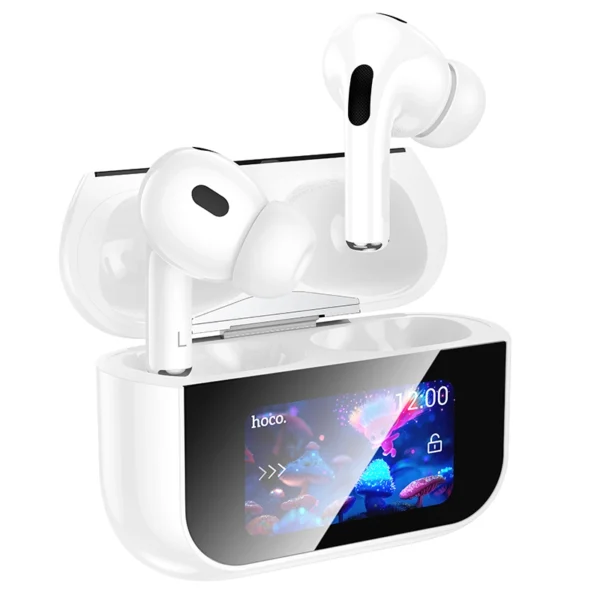 Hoco EW79 Touch Screen ANC True Wireless Earbuds